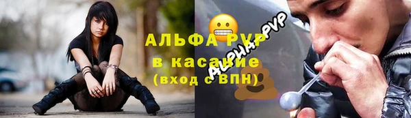 СК Богородицк