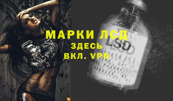 дмт Сатка