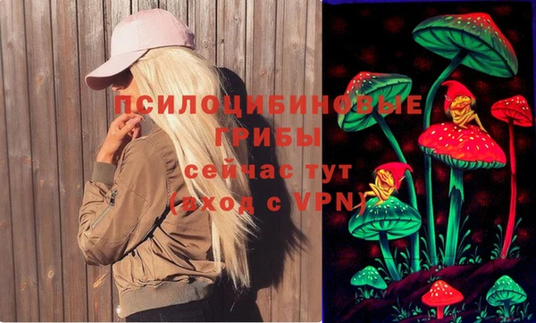 СК Богородицк