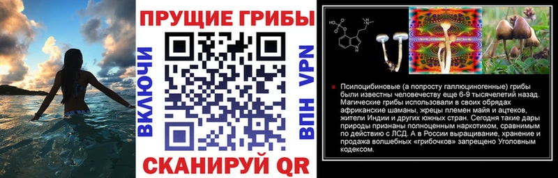 KRAKEN сайт  Киреевск  Псилоцибиновые грибы мухоморы 